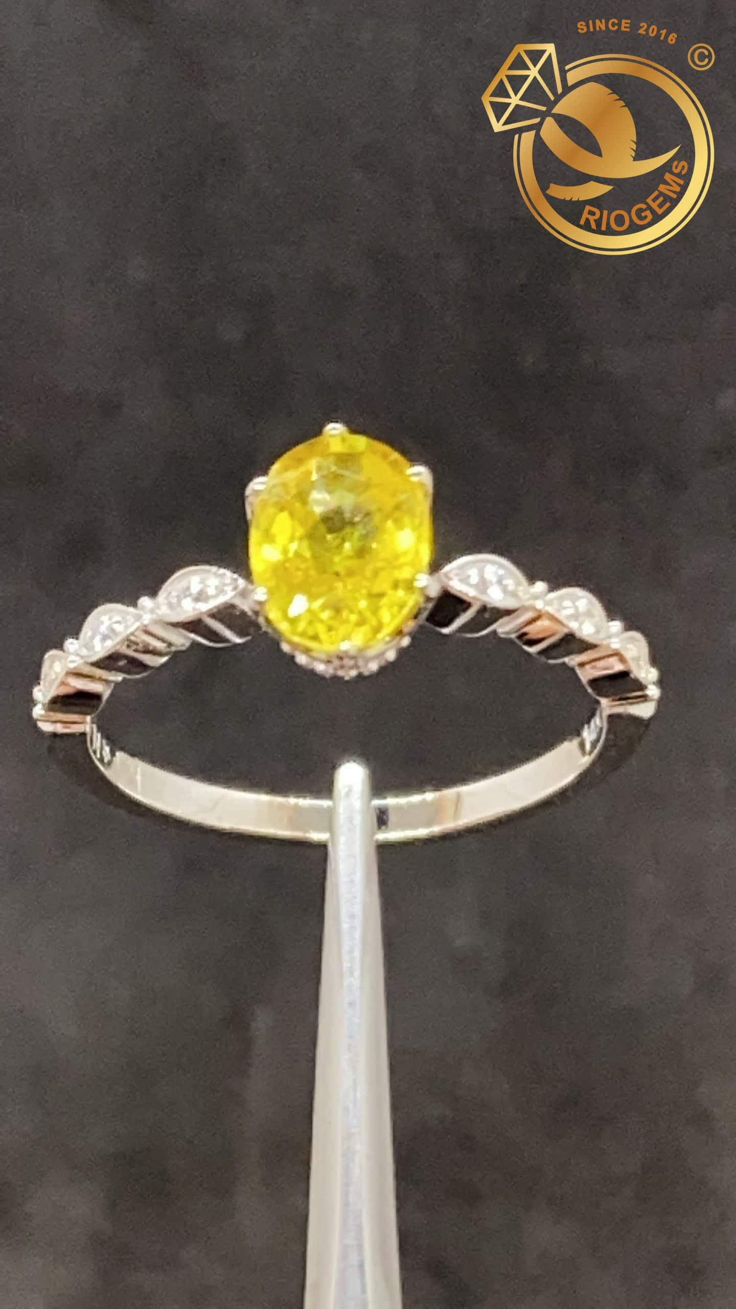 Nhẫn nữ sapphire vàng trắng